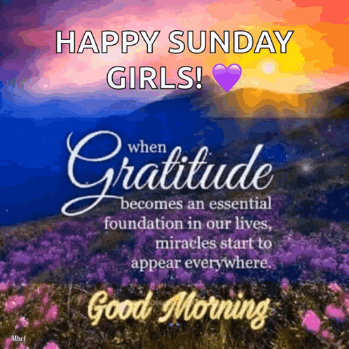 Happy Sunday Girls When Gratitude Becomes An Essential Foundation GIF