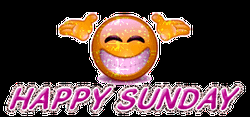 Happy Sunday Glittery Grinning Emoji