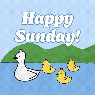 Happy Sunday Greeting Card With Ducklings GIF