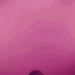 Happy Sunday Morning Beard Roses Romantic GIF