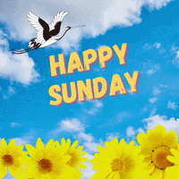 Happy Sunday Morning Daisies Eagle Flying GIF