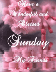 Happy Sunday Morning My Friends Pink Flowers GIF