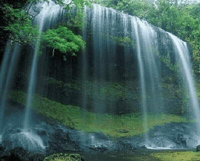 Happy Sunday Spread Love Kindness Live In Present GIF