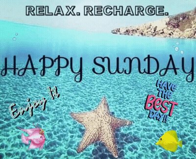 Happy Sunday Starfish In Water GIF