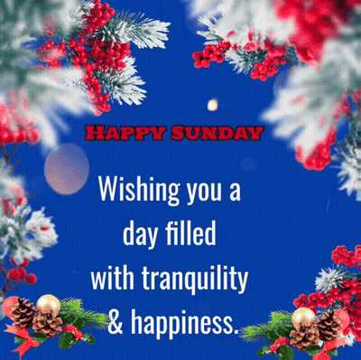 Happy Sunday Wishing Happiness GIF