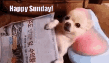 Happy Sunday With Dog Massage