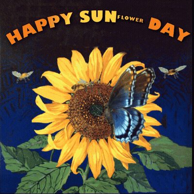 Happy Sunflower Day GIF
