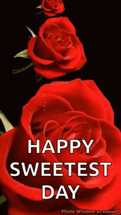 Happy Sweetest Day Message With Red Roses On Black Background GIF
