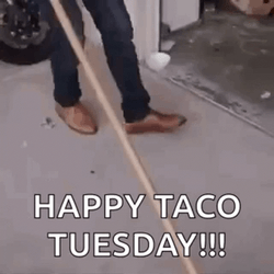 Happy Taco Tuesday Man Dancing With Cat GIF