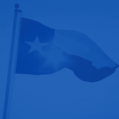 Happy Texas Independence Day GIF