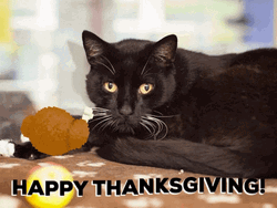 Happy Thanksgiving Black Cat