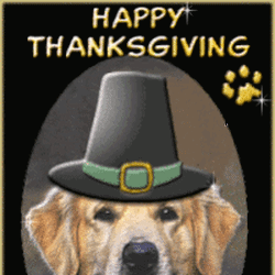 Happy Thanksgiving Dog Wearing Heart Digital Artwork GIF