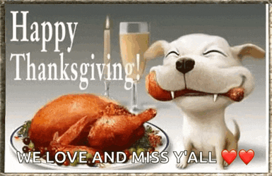 Happy Thanksgiving Dogs GIF
