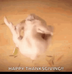 Happy Thanksgiving Happy Turkey Twerk GIF