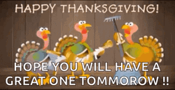 Happy Thanksgiving Have A Great One GIF