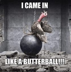 Happy Thanksgiving Meme GIF