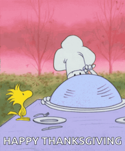 Happy Thanksgiving Snoopy And Woodstock Celebrate GIF