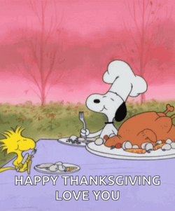 Happy Thanksgiving Snoopy And Woodstock Love You GIF