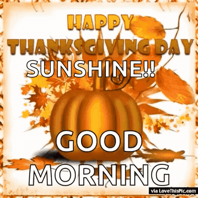 Happy Thanksgiving Sunshine Good Morning Greeting Card With Pumpkin And Leaves GIF