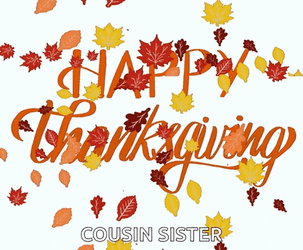 Happy Thanksgiving Thanksgiving Meme GIF