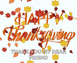 Happy Thanksgiving Thanksgiving Meme GIF