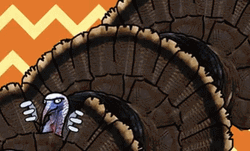 Happy Thanksgiving Turkey Animation GIF