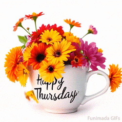 Happy Thursday GIF