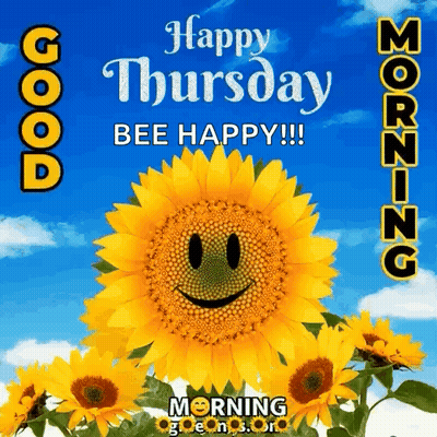Happy Thursday Greeting Card With Flowers Oranges And Birds GIF