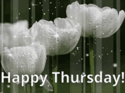 Happy Thursday With White Flowers GIF