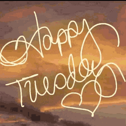 Happy Tuesday Aesthetic Calligraphy GIF