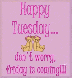 Happy Tuesday Funny Teddy GIF