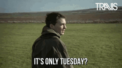 Happy Tuesday Funny What Reaction GIF