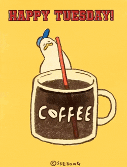 Happy Tuesday GIF