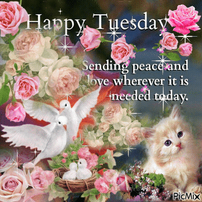 Happy Tuesday Greeting Card With Flowers and Doves