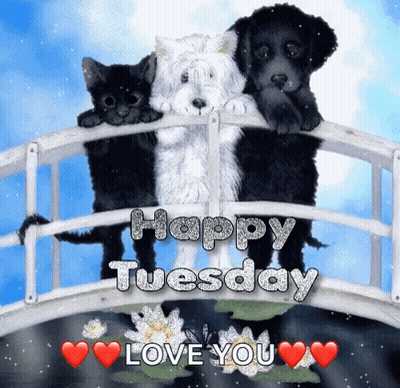 Happy Tuesday Greeting Card With Three Dogs And Cat On Bridge GIF