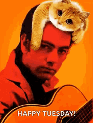 Happy Tuesday Neil Diamond GIF
