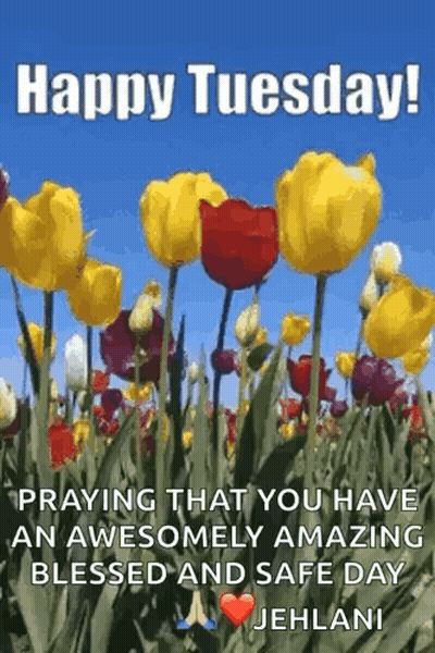 Happy Tuesday Praying For Blessed Safe Day GIF