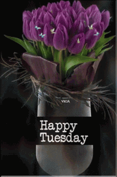 Happy Tuesday Purple Tulips GIF