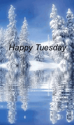 Happy Tuesday Snow Forest