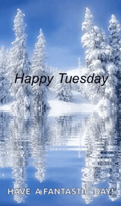Happy Tuesday Snowy Forest Reflection GIF