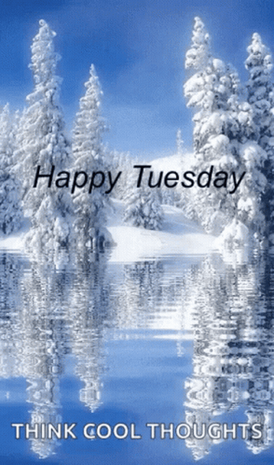 Happy Tuesday Think Cool Thoughts Snowy Trees GIF