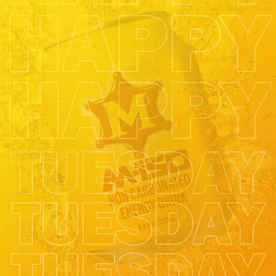 Happy Tuesday Tuesday GIF