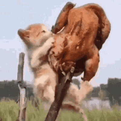 Happy Tuesday Walker And Harper With Penguin GIF