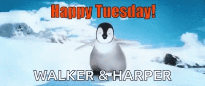 Happy Tuesday Walker And Harper With Penguin GIF