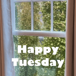 Happy Tuesday Window Rain