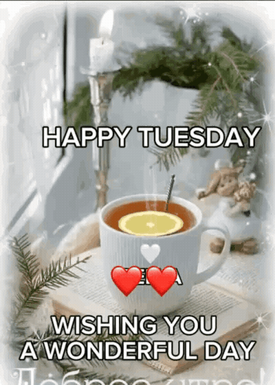 Happy Tuesday Wishing You a Wonderful Day With Cup of Tea on Book