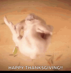 Happy Turkey Day Dancing Turkey GIF