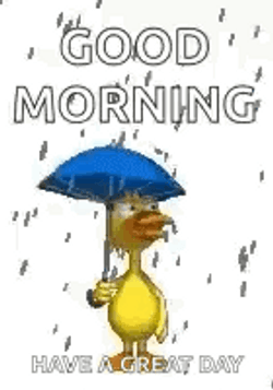 Happy Under The Rainy Wednesday GIF