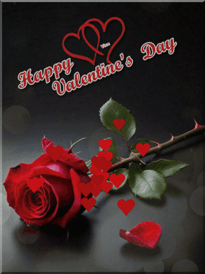 Happy Valentine's Day Card With Red Rose GIF