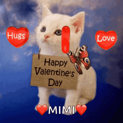 Happy Valentines Adorable White Kitty GIF